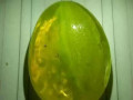 saar-gohr-althaaban-alnadr-ofoayd-gohr-althaaban-small-0