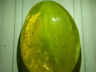 saar-gohr-althaaban-alnadr-ofoayd-gohr-althaaban-big-0