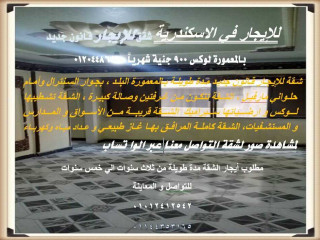 agr-mn-almalk-mbashrta-shk-kanon-gdyd-bmsakn-almaamor-md-toyl-900-gny-01012412542